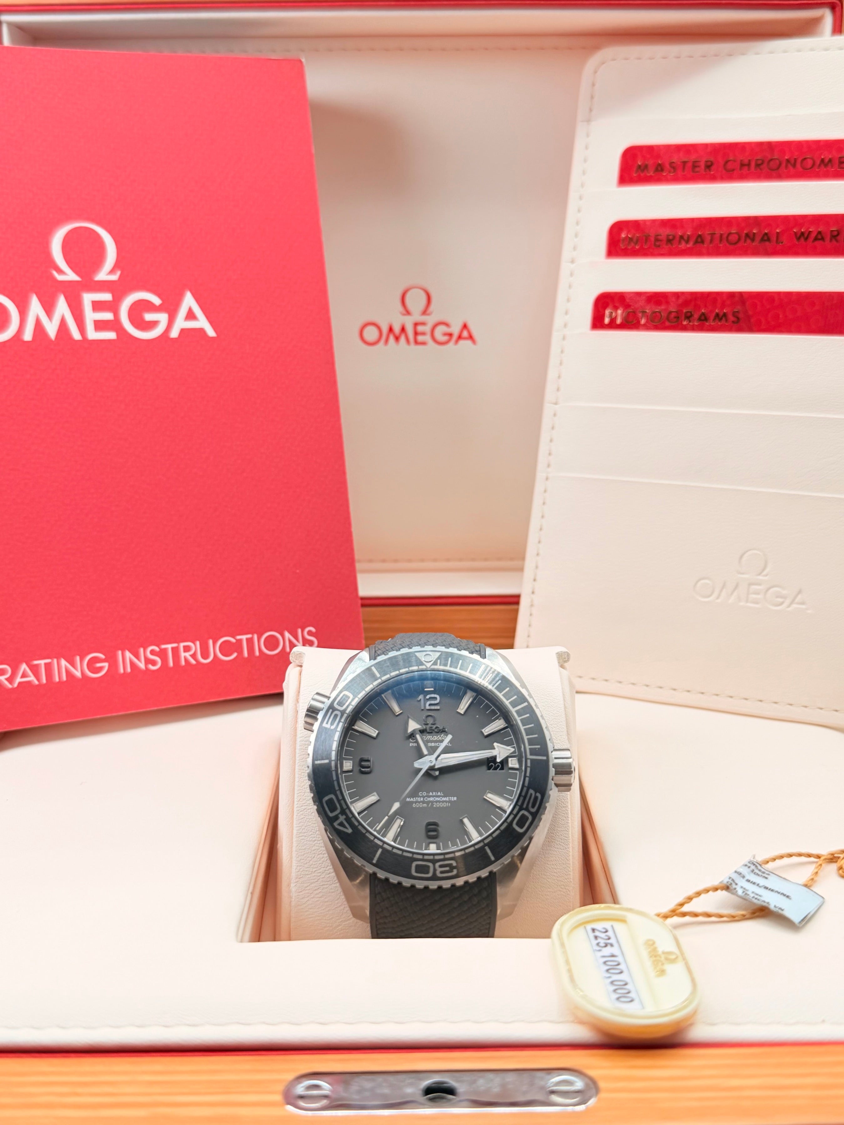 Omega Planet Ocean 600m
